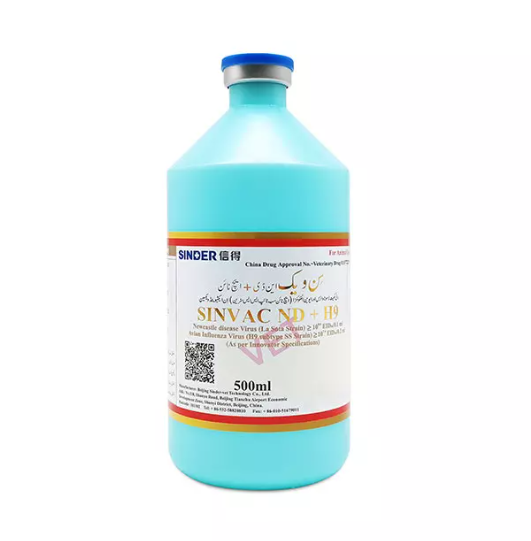 ¿Cuál es la forma más común en que los pollos obtienen una enfermedad?