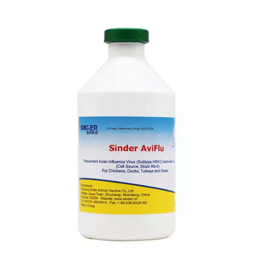 ¿Cómo afecta la influenza aviar a la salud de las aves de corral?