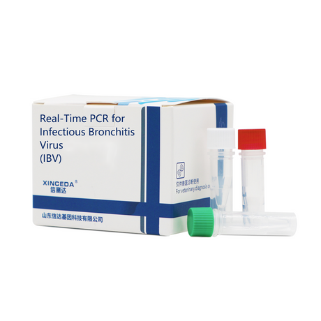 PCR virulenta y universal de NDV