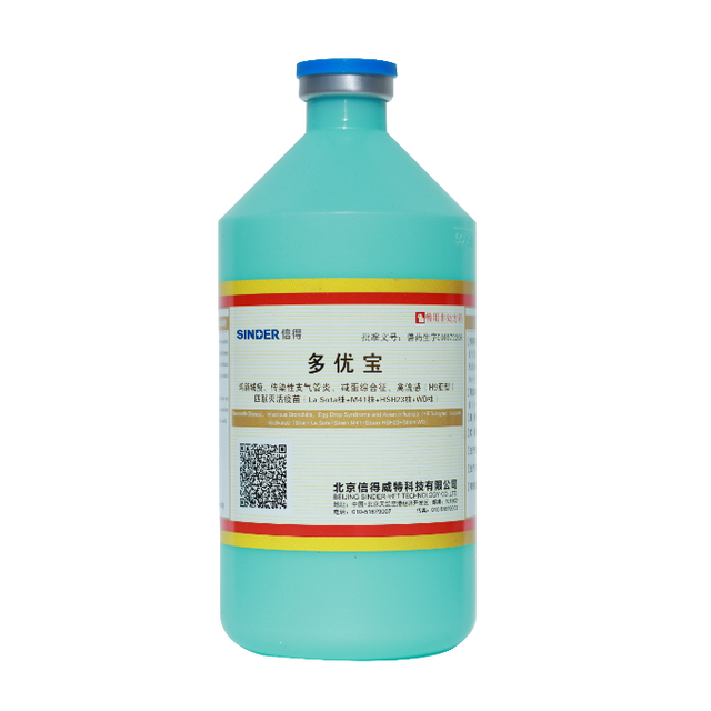 ND + IB + EDS + AIV H9 Vacuna inactivada tetravalente