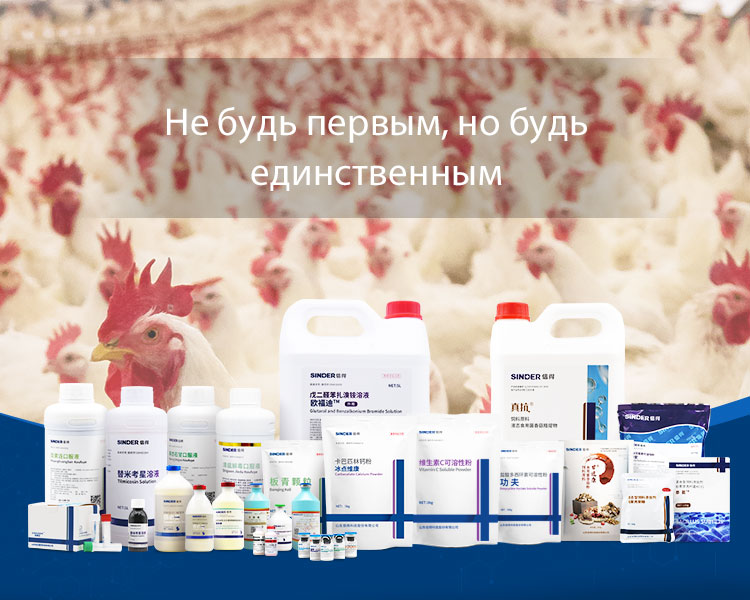 El papel de la medicina en el mantenimiento de la salud del ganado