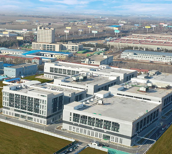 Vacuna para cerdos, medicina para aves de corral - Sinder