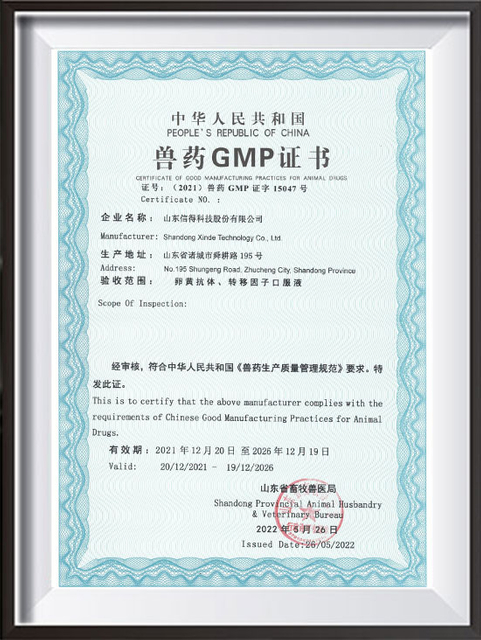 GMP-SHANDONG SINDER TECH